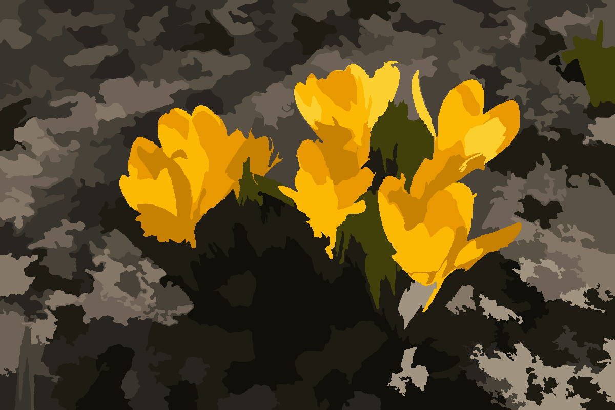 Paint-by-number render — Yellow crocus flowers on gravel